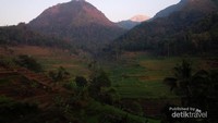 Areal persawahan