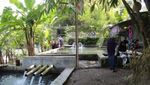 Wisata Asyik ala Pedesaan di Joglo Pari Sewu