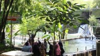 Para pengunjung mengabadikan moment foto