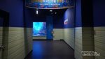 Wisata Bahari & Edukasi di Museum Perikanan Busan