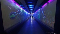 Koridor museum yang dilengkapi teknologi 3D