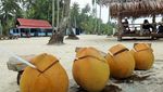 Wisata Bahari di Sumatera Barat, Ini Tempatnya