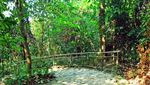 Wisata Beda di Singapura, Lari Keliling Kota