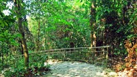 Marang Trail