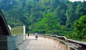 Wisata Beda di Singapura, Lari Keliling Kota