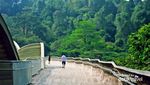 Wisata Beda di Singapura, Lari Keliling Kota