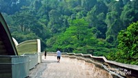 Henderson Waves