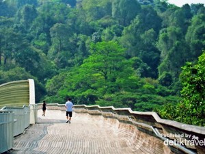 Wisata Beda di Singapura, Lari Keliling Kota