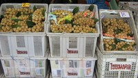 Bisa beli buah langsat juga
