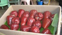 Jambu air tak kalah menggoda