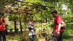 Wisata Berkebun di Jakarta, Bisa Kok!