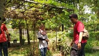 Belajar mengenal berbagai jenis tanaman dan cara merawatnya.