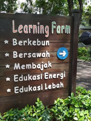 Wisata Berkebun di Jakarta, Bisa Kok!