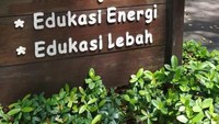 Beberapa kegiatan yang bisa dilakukan di Learning farm