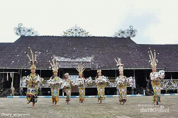 Jangan lewatkan pentas seni tari tradisional di Lamin Pemung Tawai Desa Adat Pampang yang selalu diadakan tiap hari minggu siang dan dipenuhi wisatawan lokal dan mancanegara. Jangan lewatkan pentas seni tari tradisional di Lamin Pemung Tawai Desa Adat Pampang yang selalu diadakan tiap hari minggu siang dan dipenuhi wisatawan lokal dan mancanegara.