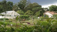 Rumah kaca di taman (sumber: tamanjamuindonesia.com)