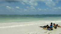 Pantai Pasir Putih Panrang Luhu