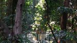 Wisata di Bandung yang Bukan Cuma Perkara Perasaan
