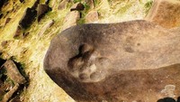 Batu tapak harimau