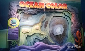 Wisata Edukasi di Ocean World Trans Studio Bandung