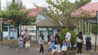 Tiap akhiir pekan Konservasi Penyu selalu ramai dikunjungi