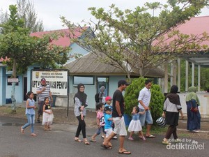 Wisata Edukasi di Penangkaran Penyu Pariaman