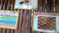kita dapat jumpai display informatif di rumah lebah