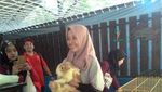 Wisata Edukasi yang Asyik di Ancol