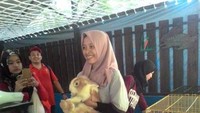 pramuwisata learning farm ecopark sedang memberikan tips  trick memelihara kelinci
