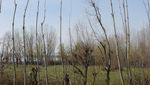 Wisata Halal di India, Coba Kunjungi Srinagar