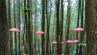 Dihiasi dengan payung-payung yang seolah terbang