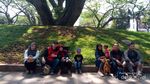 Wisata Ikonik di Tengah Kota Bandung yang Wajib Dikunjungi
