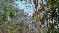 Jalan menuju wisata teras Kaca, Pantai Nguluran, wonosari