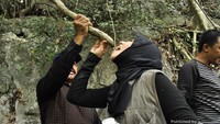 Belajar minum dari akar pohon