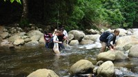 Banyak wisatawan asing menikmati tur wisata gerilya