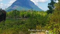 Bukit Kelam dari kejauhan