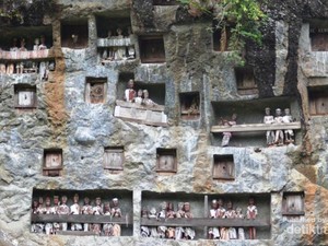 Wisata ke Kuburan Toraja, Siapa Takut!