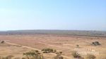 Wisata ke Padang Savana Ala Afrika di Situbondo