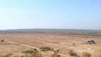 Taman Nasional Baluran dari atas menara pandang