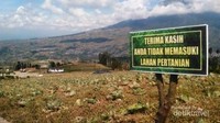 Lahan pertanian penduduk, bisa dimanfaatkan sebagai sarana edukasi untuk mengenalkan beberapa jenis sayuran dan juga agar anak-anak lebih menghargai jerih payah petani
