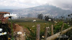 Wisata Keluarga di Posong, Mendekatkan Anak ke Alam