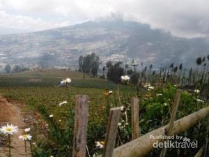 Wisata Keluarga di Posong, Mendekatkan Anak ke Alam