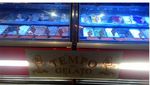 Wisata Kuliner Es krim dan Gelato Kemangi di Yogyakarta