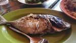 Wisata Kuliner Ikan Bakar Nias yang Menggoyang Lidah