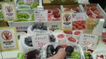 Wisata Kuliner Murah Meriah di Osaka