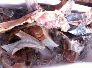 Wisata Kuliner Rahang Tuna Bakar Rica Manado yang Bikin Goyang Lidah