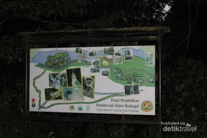 Wisata Lengkap di Pusat Pendidikan Konservasi Alam Bodogol