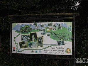 Wisata Lengkap di Pusat Pendidikan Konservasi Alam Bodogol