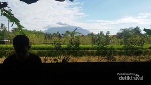 Wisata Lereng Merapi, Bisa Ngapain Saja?
