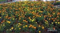 Taman Bunga di Ly Thai To Park